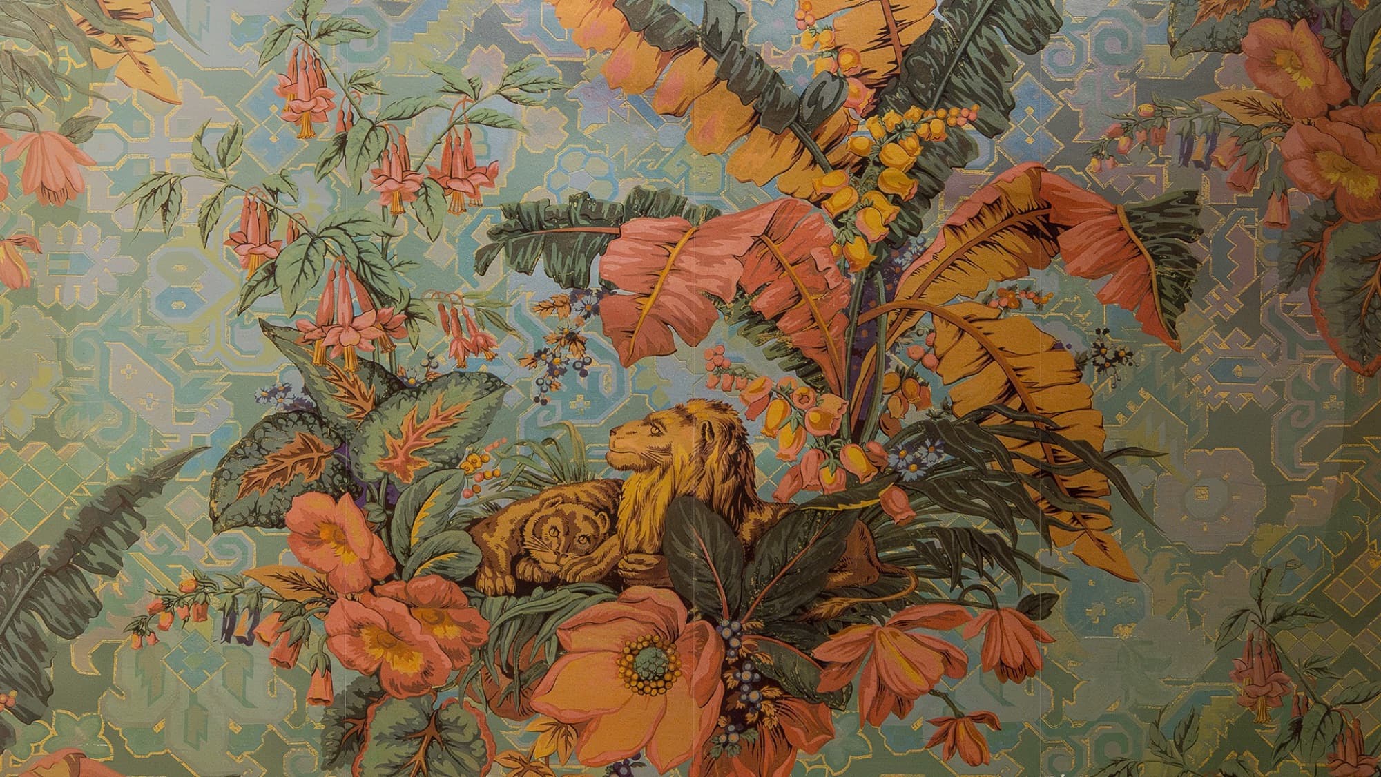 Sahara, vue 2